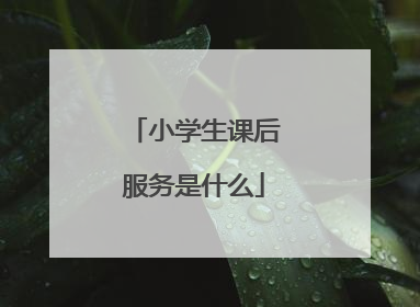 小学生课后服务是什么