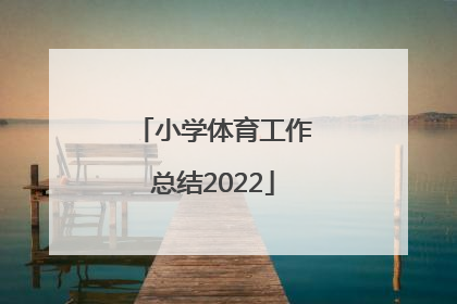 「小学体育工作总结2022」小学体育工作总结 个人2021