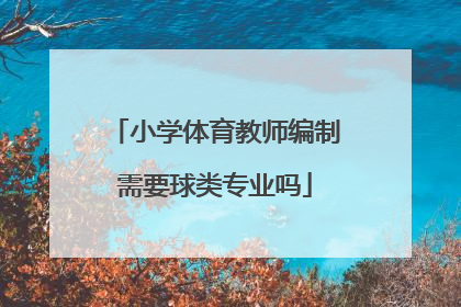 小学体育教师编制需要球类专业吗