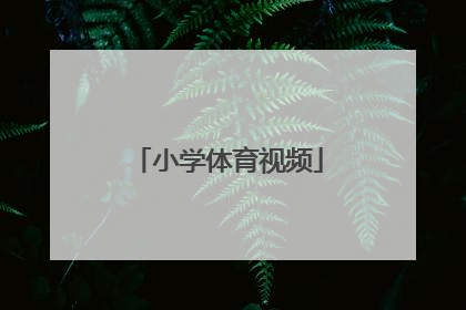 「小学体育视频」小学体育说课视频