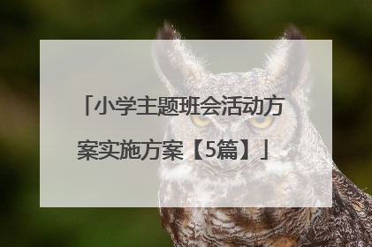 小学主题班会活动方案实施方案【5篇】