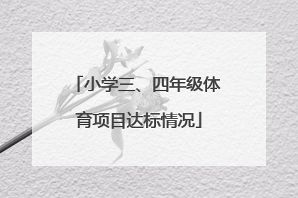 小学三、四年级体育项目达标情况