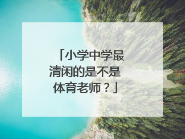 小学中学最清闲的是不是体育老师？