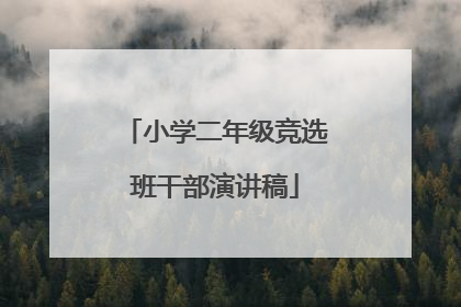 小学二年级竞选班干部演讲稿