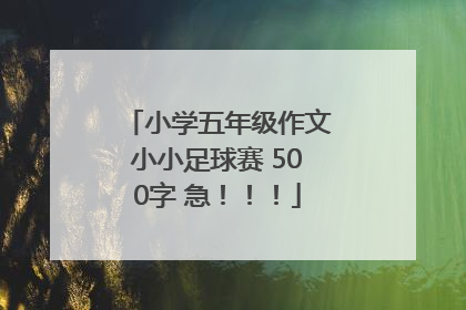 小学五年级作文小小足球赛 500字 急！！！