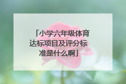 小学六年级体育达标项目及评分标准是什么啊