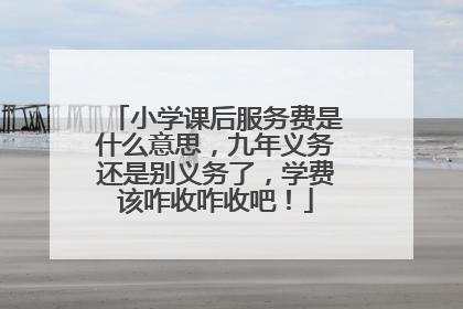 小学课后服务费是什么意思，九年义务还是别义务了，学费该咋收咋收吧！