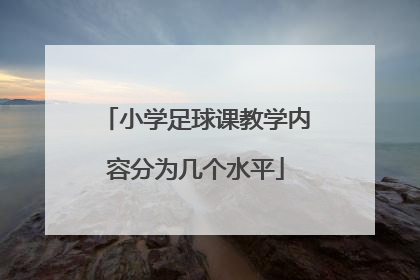 小学足球课教学内容分为几个水平