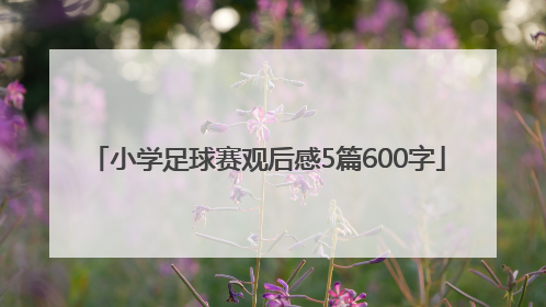 小学足球赛观后感5篇600字