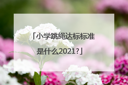 小学跳绳达标标准是什么2021?