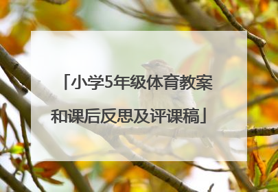 小学5年级体育教案和课后反思及评课稿