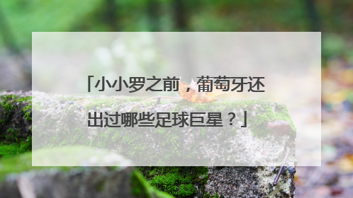 小小罗之前，葡萄牙还出过哪些足球巨星？