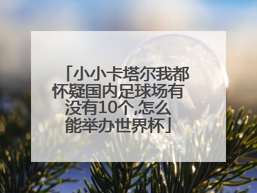 小小卡塔尔我都怀疑国内足球场有没有10个,怎么能举办世界杯