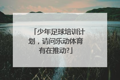 少年足球培训计划，请问乐动体育有在推动?