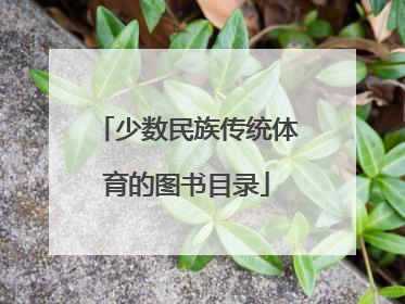 少数民族传统体育的图书目录