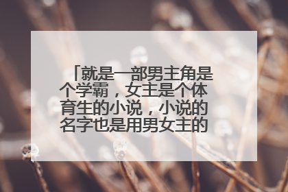 就是一部男主角是个学霸，女主是个体育生的小说，小说的名字也是用男女主的名字命名的。