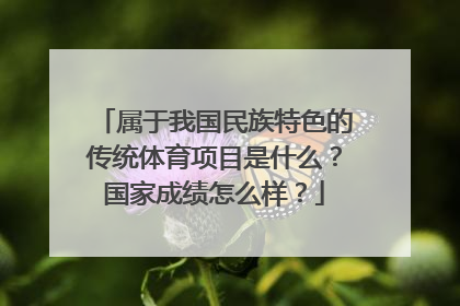 属于我国民族特色的传统体育项目是什么？国家成绩怎么样？