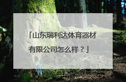 山东瑞利达体育器材有限公司怎么样？