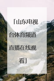 「山东电视台体育频道直播在线观看」山东电视台体育频道直播回看