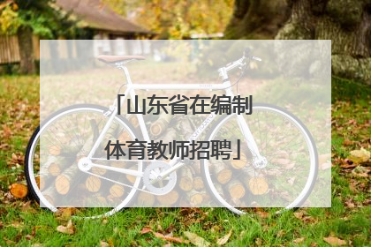 山东省在编制体育教师招聘