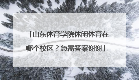 山东体育学院休闲体育在哪个校区？急需答案谢谢