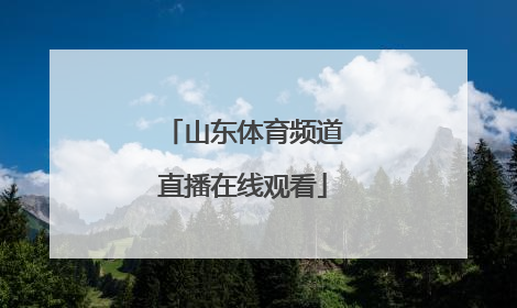 「山东体育频道直播在线观看」广东体育频道直播在线观看高清