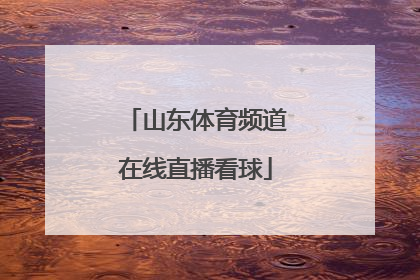 「山东体育频道在线直播看球」山东体育频道在线直播观看手机版