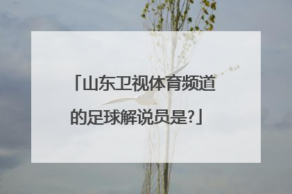 山东卫视体育频道的足球解说员是?