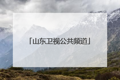 「山东卫视公共频道」山东卫视公共频道 李