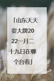 山东天天耍大牌2022一月二十九日在哪个台看