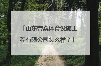 山东帝燊体育设施工程有限公司怎么样？