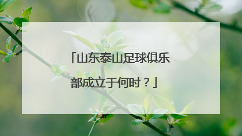 山东泰山足球俱乐部成立于何时？