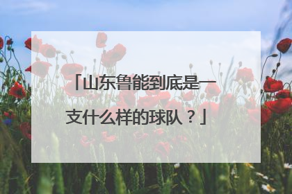 山东鲁能到底是一支什么样的球队？