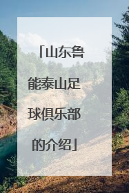 山东鲁能泰山足球俱乐部的介绍