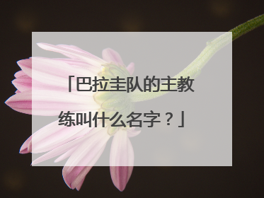 巴拉圭队的主教练叫什么名字？