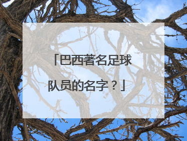 巴西著名足球队员的名字？