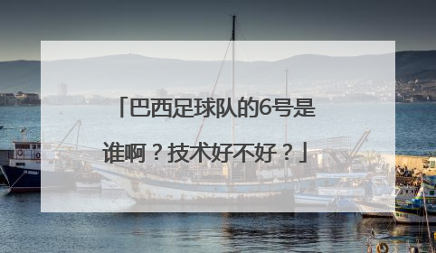 巴西足球队的6号是谁啊？技术好不好？