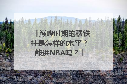 巅峰时期的穆铁柱是怎样的水平？能进NBA吗？