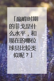 巅峰时期的菲戈是什么水平，和现在的哪位球员比较类似呢？