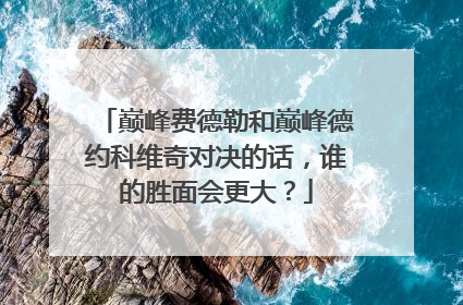 巅峰费德勒和巅峰德约科维奇对决的话，谁的胜面会更大？