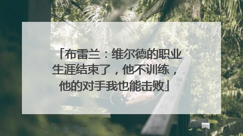 布雷兰：维尔德的职业生涯结束了，他不训练，他的对手我也能击败