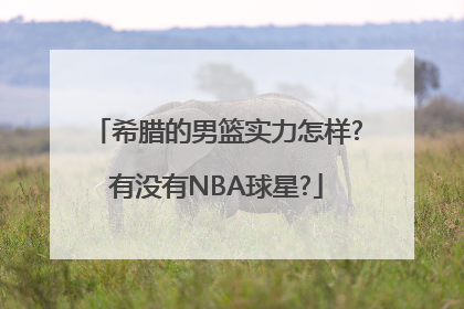 希腊的男篮实力怎样?有没有NBA球星?