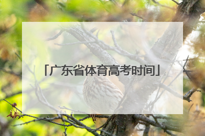 「广东省体育高考时间」高考要考体育吗广东省