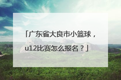 广东省大良市小篮球，u12比赛怎么报名？