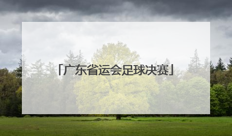 「广东省运会足球决赛」广东省运会足球决赛名单