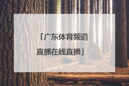 「广东体育频道直播在线直播」广东体育频道在线直播nba直播