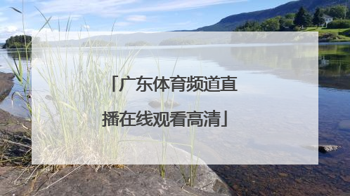 「广东体育频道直播在线观看高清」广东体育频道节目表直播在线观看