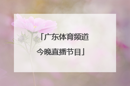 「广东体育频道今晚直播节目」山东体育频道今晚直播