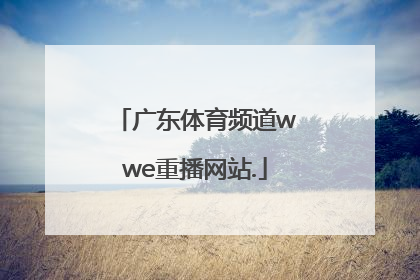 广东体育频道wwe重播网站.