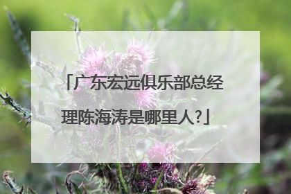 广东宏远俱乐部总经理陈海涛是哪里人?